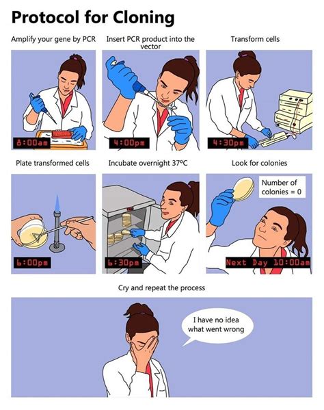 Microbiology Memes