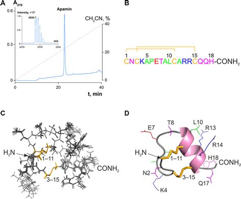 Analytical RP HPLC Of Apamin And Its Structure In Solution A 10 Nmol