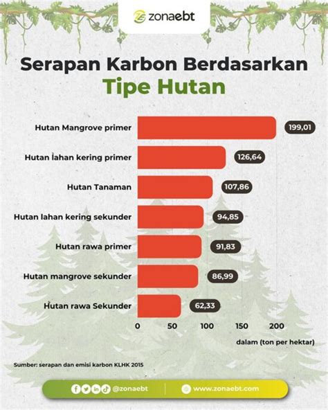 Hutan Karbon Primer Solusi Serapan Emisi Dunia Zonaebt