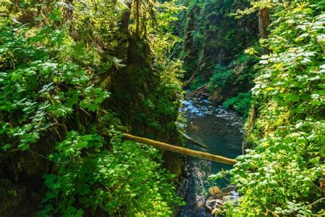8 Washington Hot Springs You Can Visit In 2025 Map