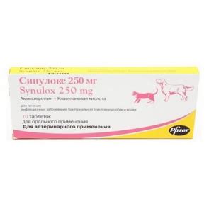 «Синулокс» для собак: инструкция по применению