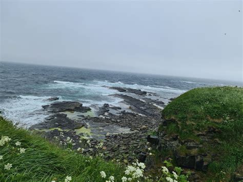 Castle Sinclair Girnigoe And Noss Head A Scottish World