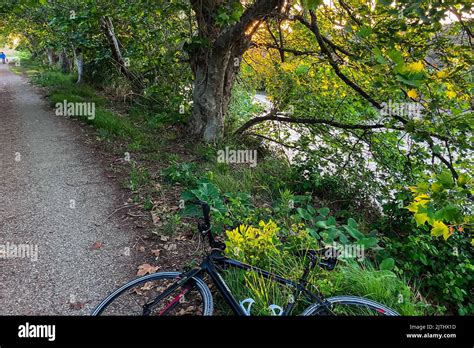 Specialized Brand Bike Hi Res Stock Photography And Images Alamy