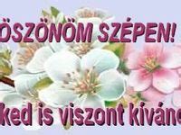 K Sz N M Sz Pen Viszont K V Nom T M J Tlet K Peslap