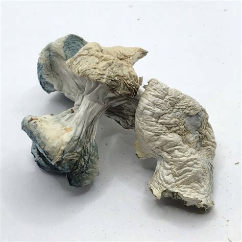 Jedi Mind Fuck Magic Mushrooms YYC Weed Delivery Hour Or Less Delivery