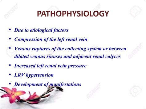 nutcracker syndrome pptx