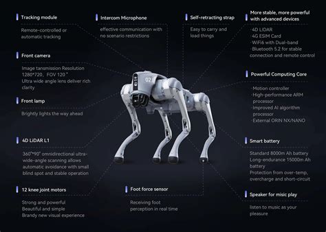 Roboterhund Go Pro Unitree Robotics