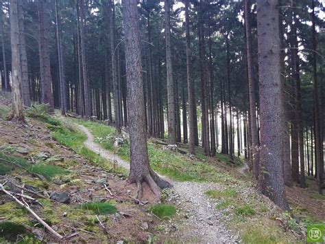 Kaczawskie Single Tracki Kraina Tras Rowerowych Mtb Er Ha Rowery