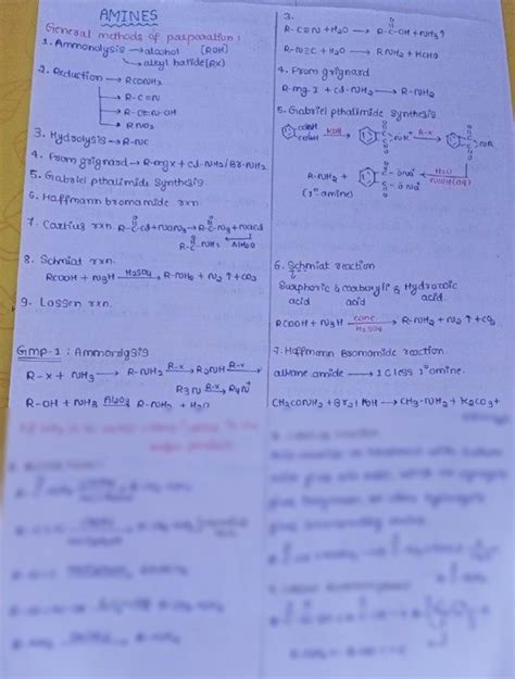 solution amines handwritten short notes  english studypool