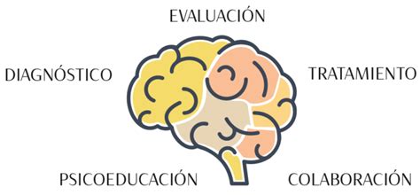 ¿qué Trata La Neuropsicología Clínica