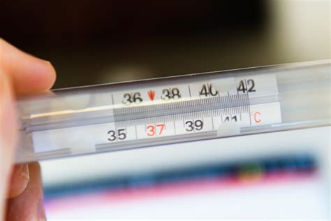 Temperatura Corpo Baixa - Por que a temperatura corporal baixa é um sinal de alerta para a saúde ...