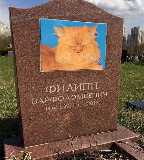 ПАМЯТНИК ЖИВОТНЫМ