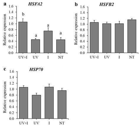 Agronomy Free Full Text Ultraviolet B Irradiation Induces