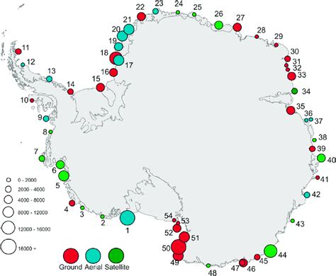 Emperor Penguin Size