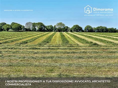 Asta Per Terreno Agricolo Frazione Orentano In Prossimit Della