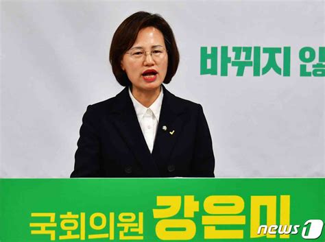 강은미 정의당 의원 광주 서구을 출마 선언 확 바꾸겠다 뉴스1