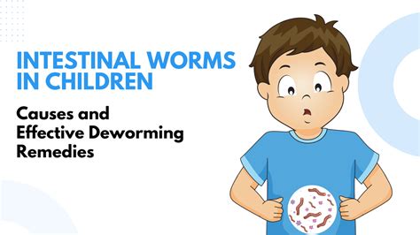 Intestinal Worms in Children – Causes and Effective Deworming Remedies