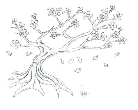 Cherry Blossom Drawing Step By Step