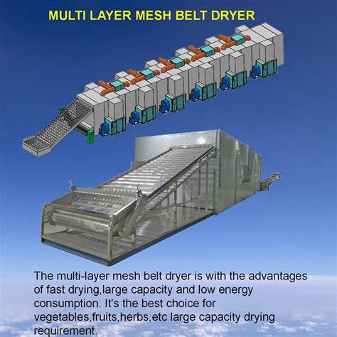 Heat Pump Hot Air Dryer Food Drying Equipment Fruit Dehumidifying Belt Dryer Heat Pump Belt