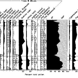 Longitudinal Profile Of Mississippi River Floodplain Sediments From St