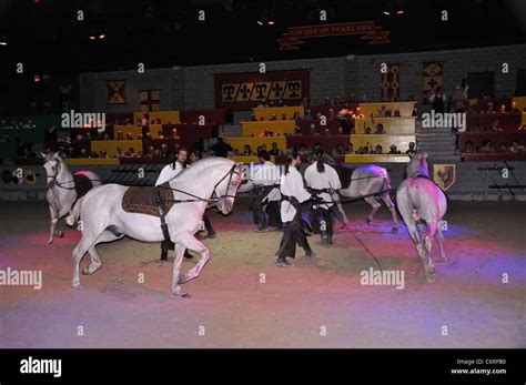 Medieval Times Dinner And Tournament Show Stock Photo Alamy