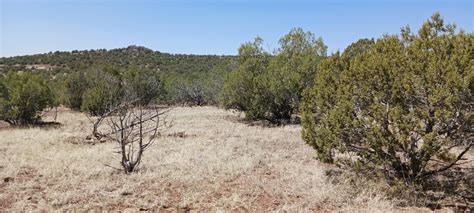 Williams Coconino County AZ Recreational Property Undeveloped Land