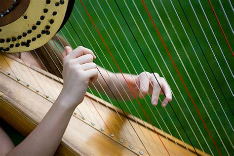 Harfe - Bilder und Stockfotos - iStock