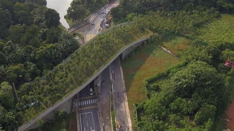 The Mandai Wildlife Bridge in Singapore | Download Scientific Diagram