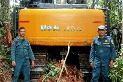 2 Perambah Hutan Suaka Margasatwa Giam Siak Kecil Dibekuk GenPI Co RIAU