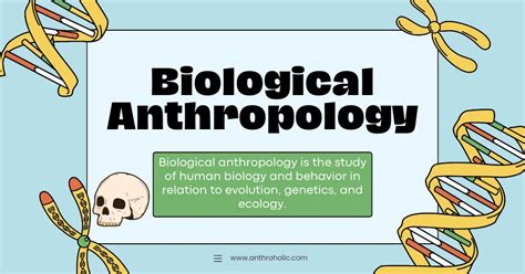biological anthropology   importance anthroholic