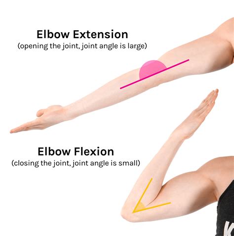 flexion extension mobility  wanda sykes blog