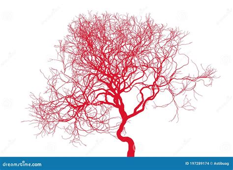 Naked Tree Silhouette On White Background Fine Detailed Realistic Illustration Isolated Design