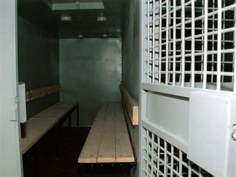 Участника Pussy Riot арестовали по решению суда на суток МК