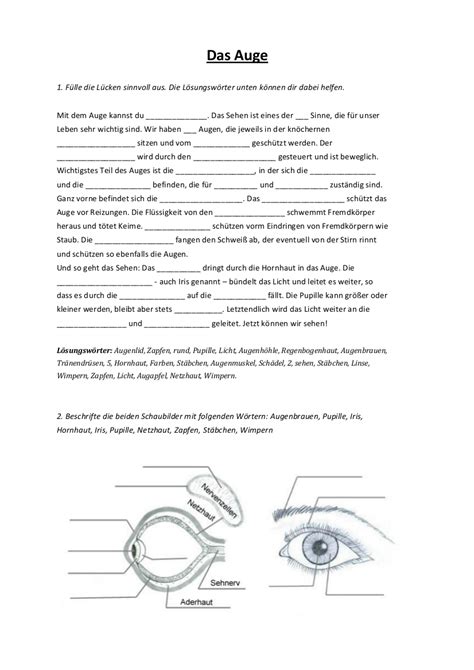 Hsu 3 Klasse Das Auge Mit Lösungen Aufbau Des Menschlichen Auges