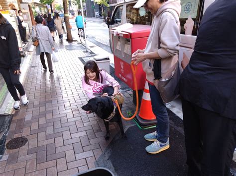 ウーバーゆかにゃ🐼🚴エンジョイ勢 ～ On Twitter 実はニコ生の時から見てましたw 頑張って下さいやで🤗