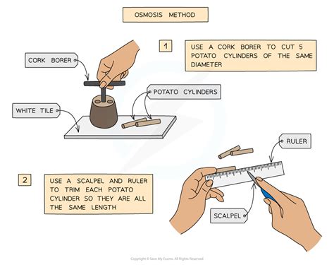 Ib Dp Biology Sl Skills Estimation Of Osmolarity