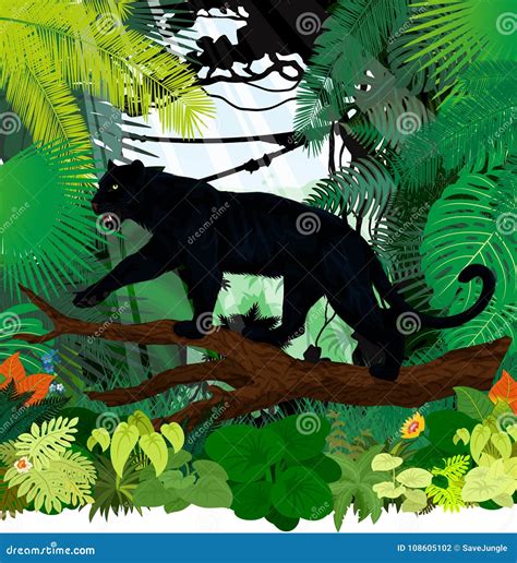 Vector Black Panther Leopard Jaguar In Jungle Rainforest Stock Vector