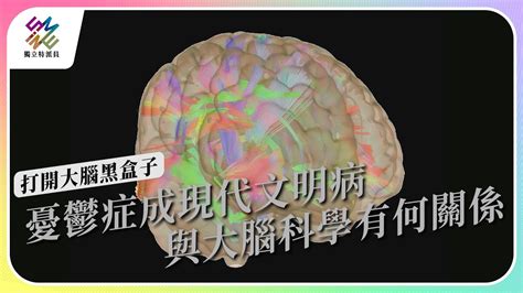 憂鬱症成現代文明病，與大腦科學有何關係｜打開大腦黑盒子｜公視 獨立特派員 第798集 20230426 Youtube