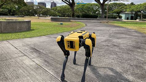 A useful tool or dehumanising? Robot police dog that scans homeless people sparks debate | Euronews