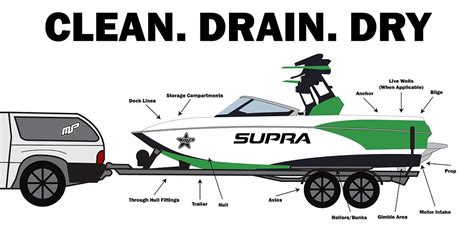 Zebra Mussels 101 and What you Can Do to Prevent the Spread