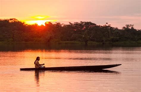 Bigfoot Of The Amazon Jungle: The Mapinguari - Rainforest Cruises