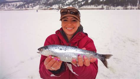 How To Ice Fish For Kokanee Bc Fishn