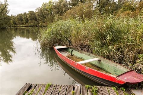 De Biesbosch Is Een Prachtig Natuurgebied Dat Gedomineerd Wordt Door