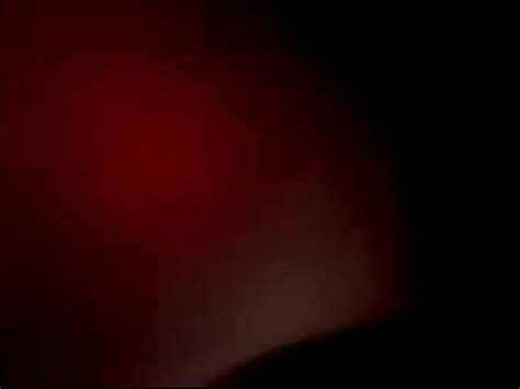 Sexo no estádio dentro do carro XVIDEOS