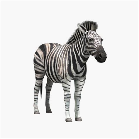 African Animals Vol 1 3d Model