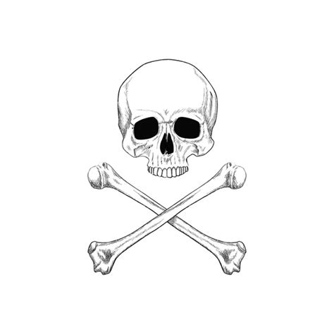 Skull and bones Stock Photos, Royalty Free Skull and bones Images ...