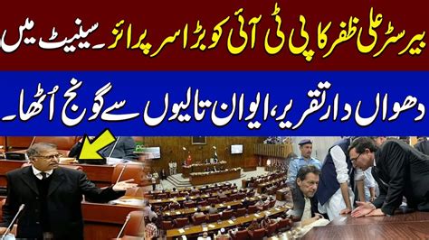 Senator Ali Zafar Speech In Senate Session Surprise To Pti Samaa Tv