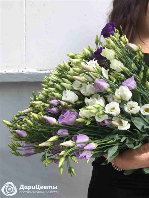 Эустома (Лизиантус) - заказ и доставка цветов в Челябинске: цены, фото