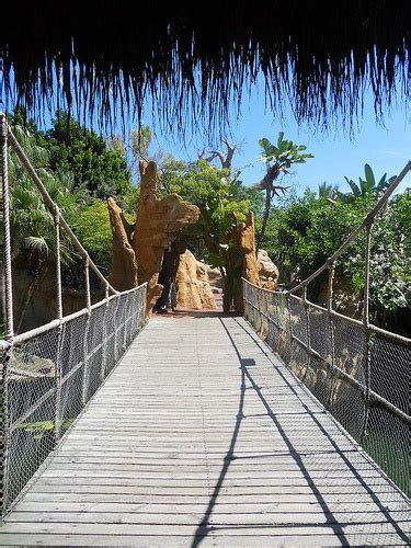 Fuengirola Zoo, Malaga, Spain | Andalusia spain, Malaga, Plan my trip