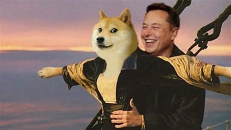 Musk replaces Twitter's blue bird logo with Doge meme: Here's why ...